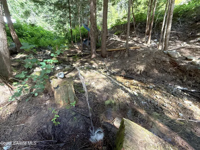 $95,000 | 10-ac South Latour Creek Road, Cataldo, ID 83810