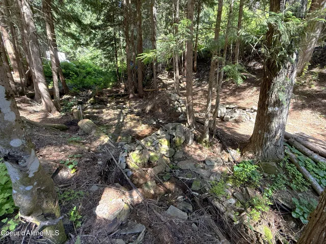 $95,000 | 10-ac South Latour Creek Road, Cataldo, ID 83810