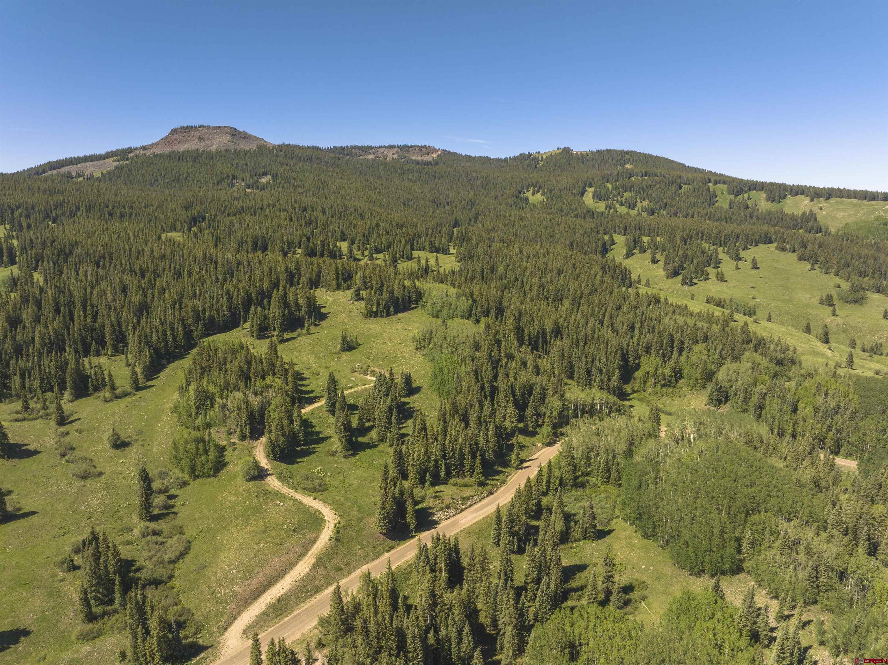 1371 Red Mountain Ranch Road Crested Butte, CO 81224 - Photo 39 of 41