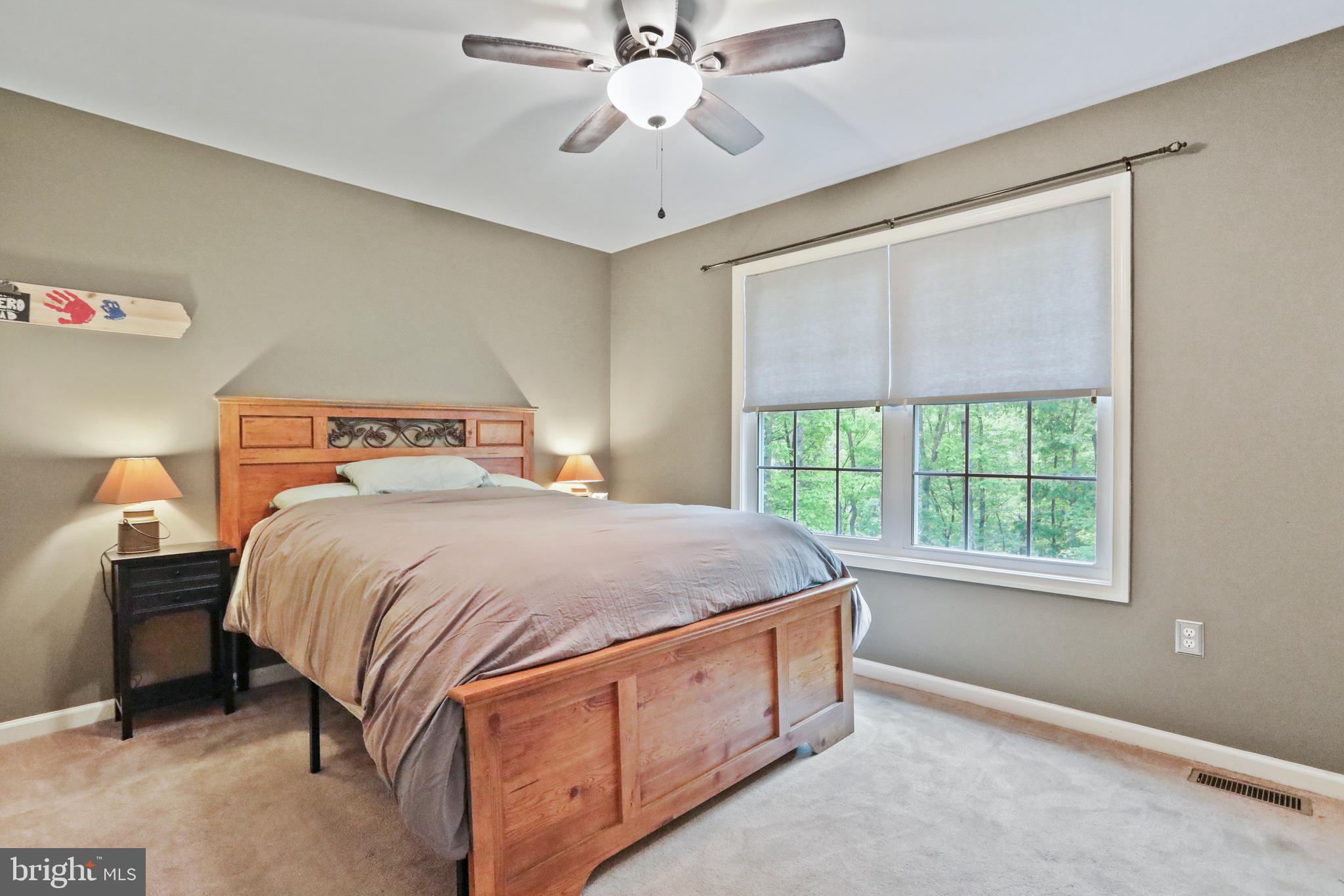 290 Poplar Road Front Royal, VA 22630 - Photo 23 of 70 Master Bedroom