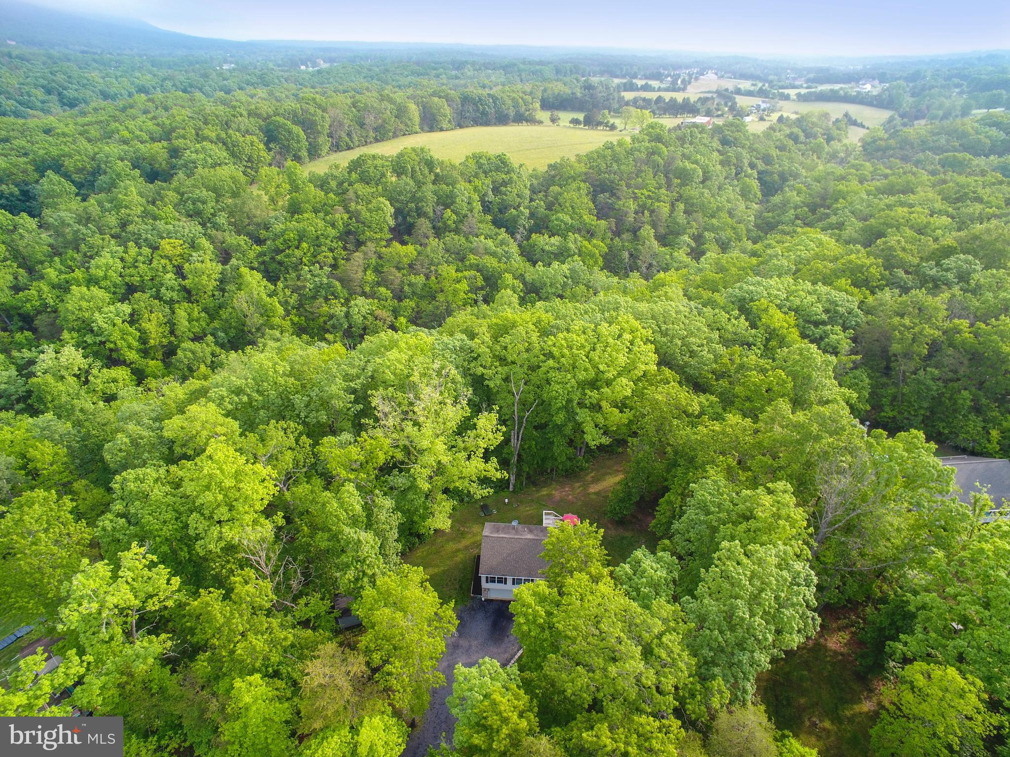 290 Poplar Road Front Royal, VA 22630 - Photo 62 of 70 Gallery Image 62