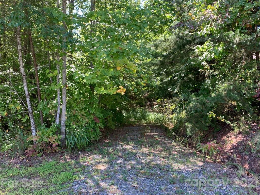 999 Silver Ridge Road, Unit 30 & 31 Mill Spring, NC 28756 - Photo 2 of 8 a view of a forest with trees in the background