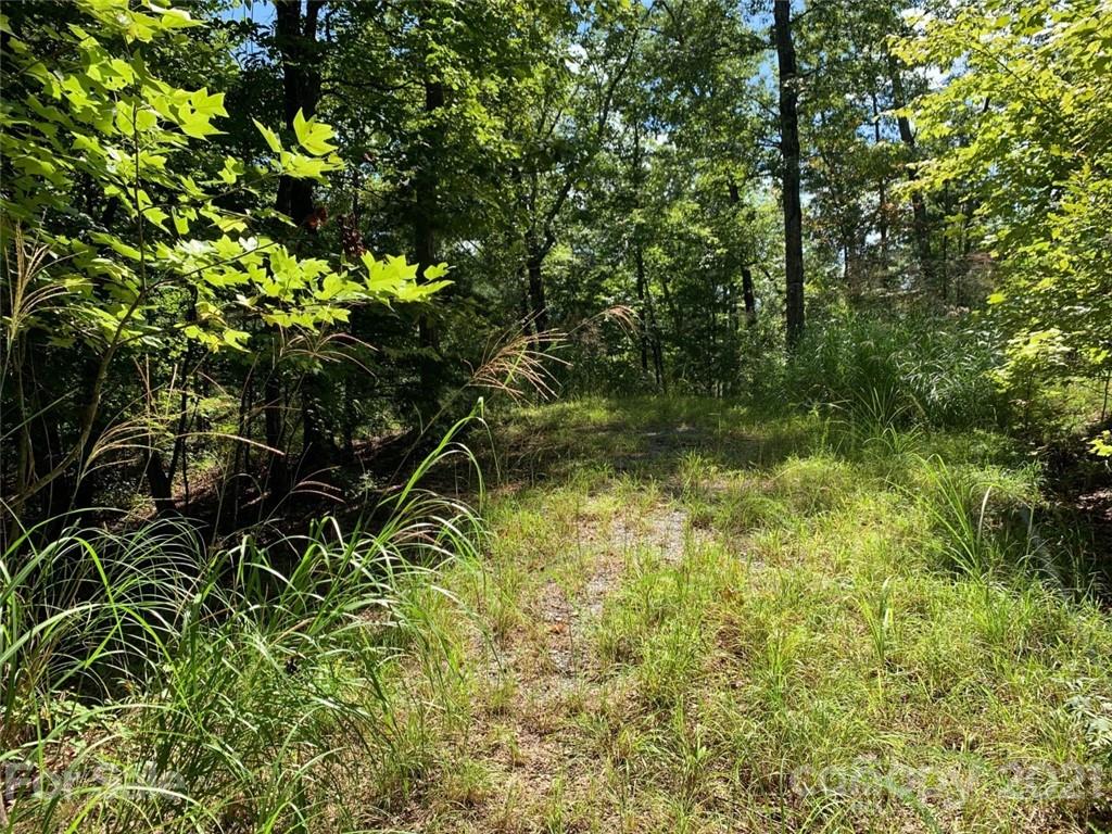 999 Silver Ridge Road, Unit 30 & 31 Mill Spring, NC 28756 - Photo 3 of 8 a view of a yard