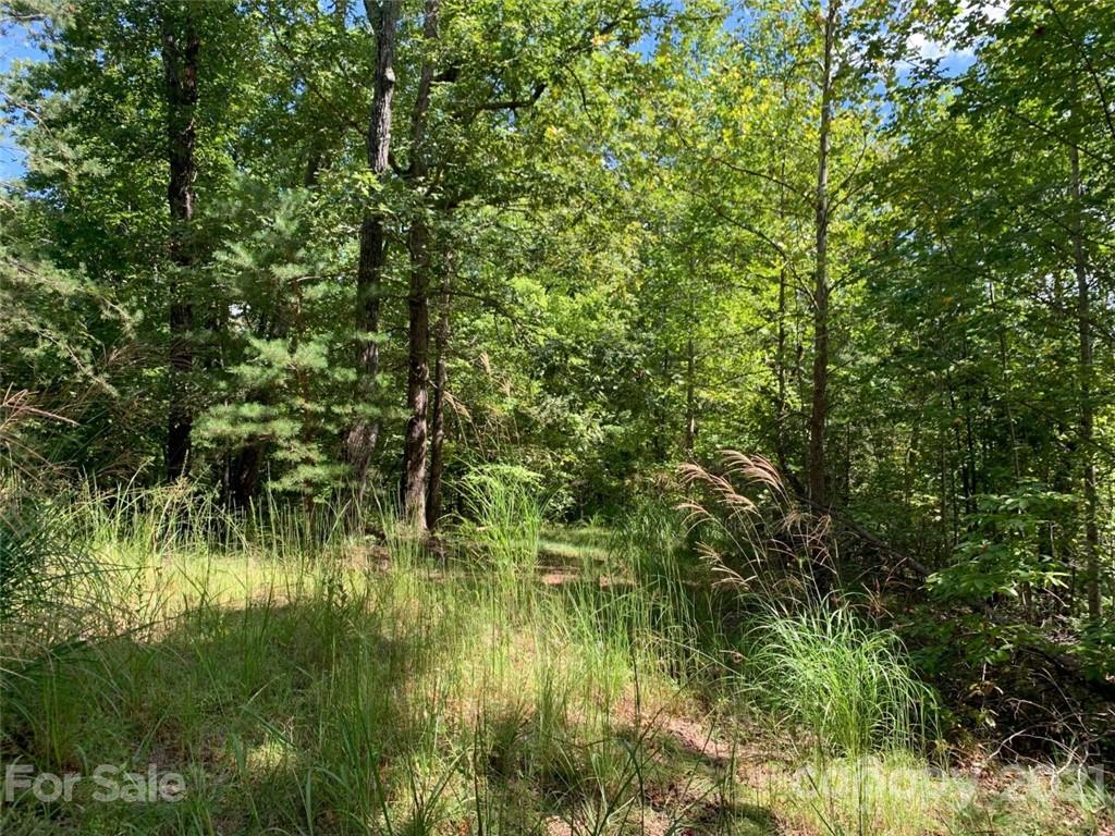 999 Silver Ridge Road, Unit 30 & 31 Mill Spring, NC 28756 - Photo 5 of 8