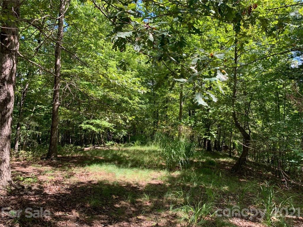999 Silver Ridge Road, Unit 30 & 31 Mill Spring, NC 28756 - Photo 6 of 8 a view of a lake with a tree