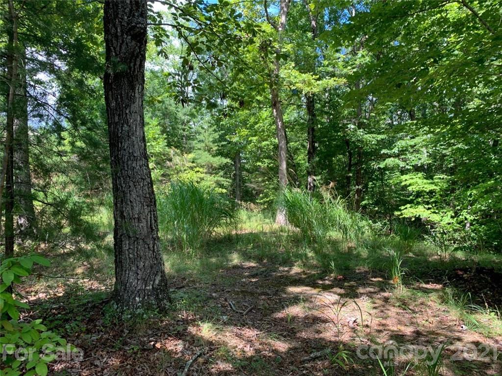 999 Silver Ridge Road, Unit 30 & 31 Mill Spring, NC 28756 - Photo 7 of 8 a view of forest