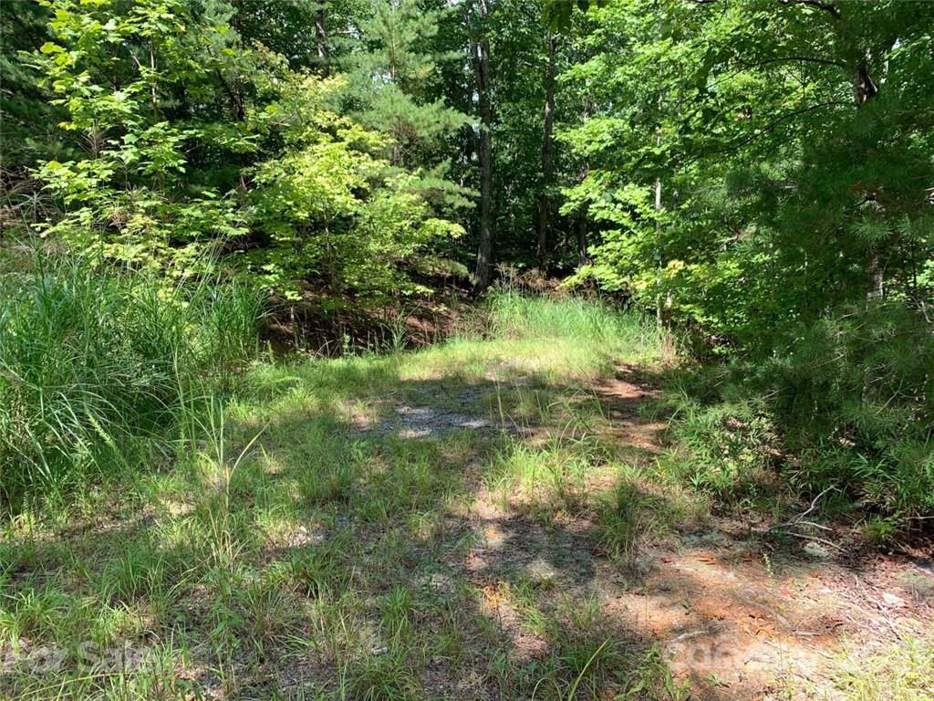 999 Silver Ridge Road, Unit 30 & 31 Mill Spring, NC 28756 - Photo 8 of 8 a view of a garden