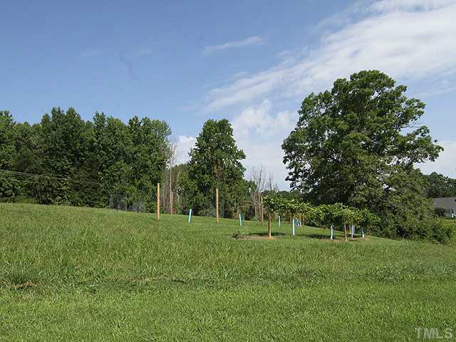 511 Mason Road Durham, NC 27712 - Photo 25 of 25 a view of a grassy field with trees in the background