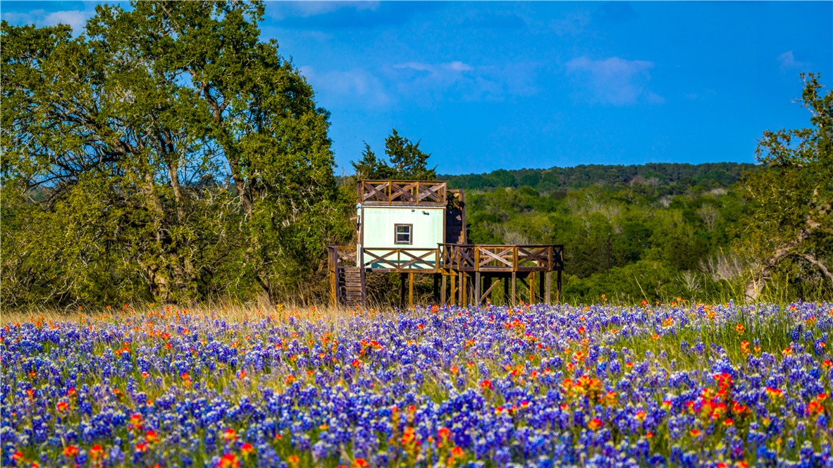 5107 Bovista Ranch Road Navasota, TX 77868 - Photo 45 of 49