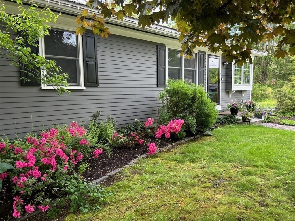 63 Conant Street Acton, MA 01720 - Photo 23 of 30 a view of a potted plants sitting in front of a house
