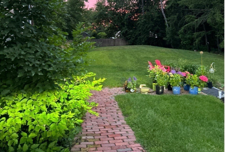 63 Conant Street Acton, MA 01720 - Photo 28 of 30 a view of a garden with flowers