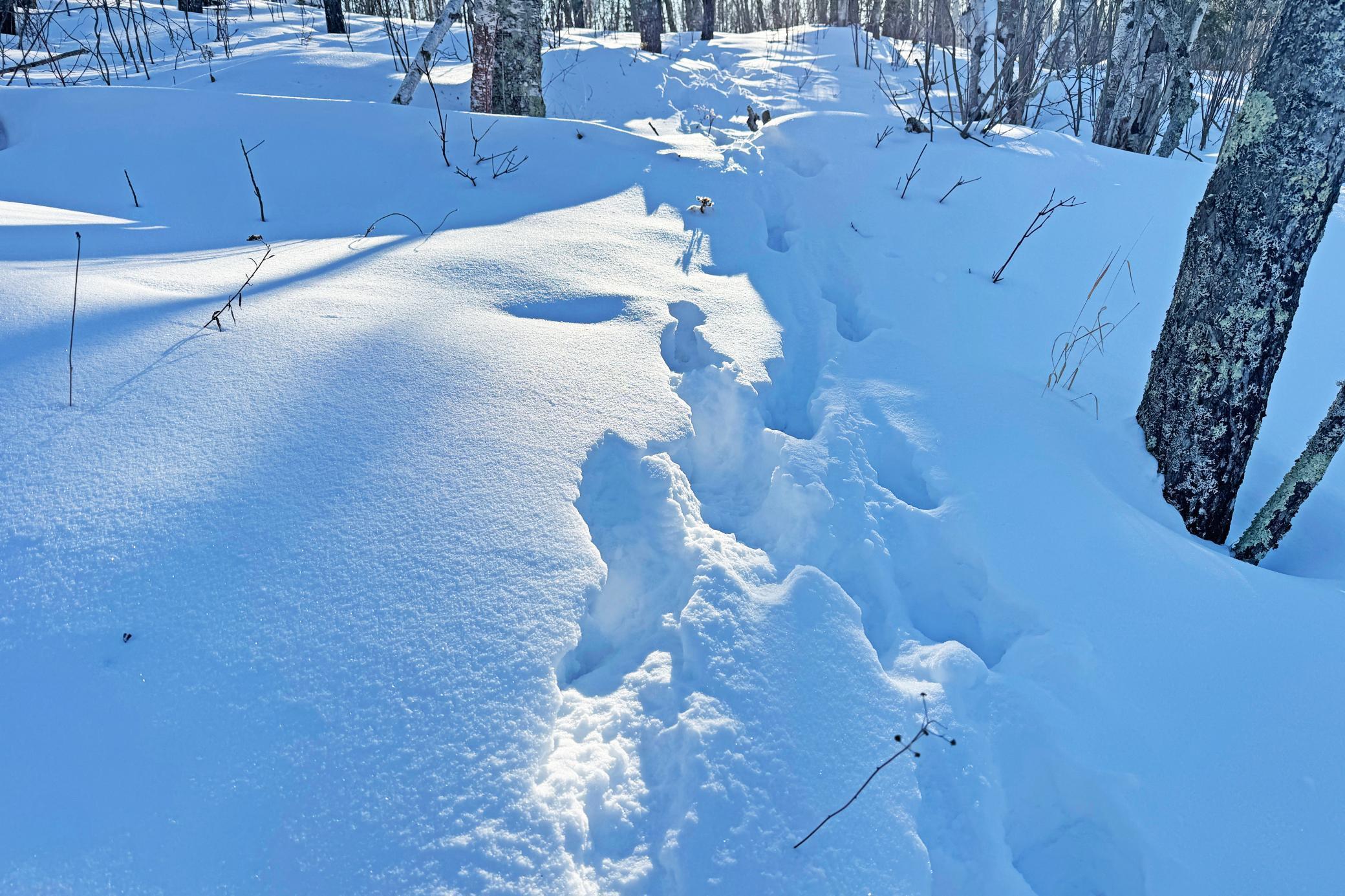 12 Fectos Road Tower, MN 55790 - Photo 24 of 46