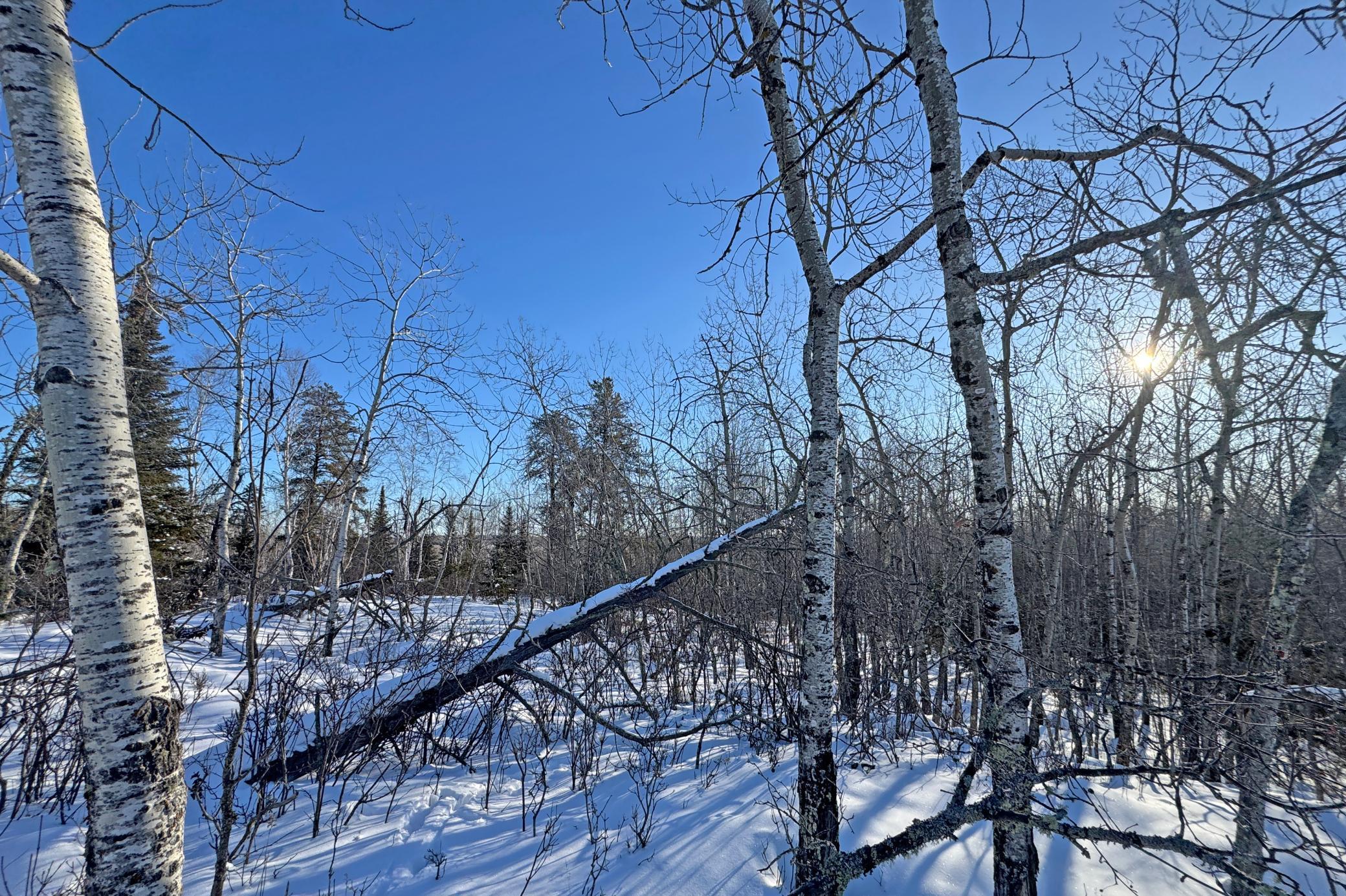 12 Fectos Road Tower, MN 55790 - Photo 27 of 46