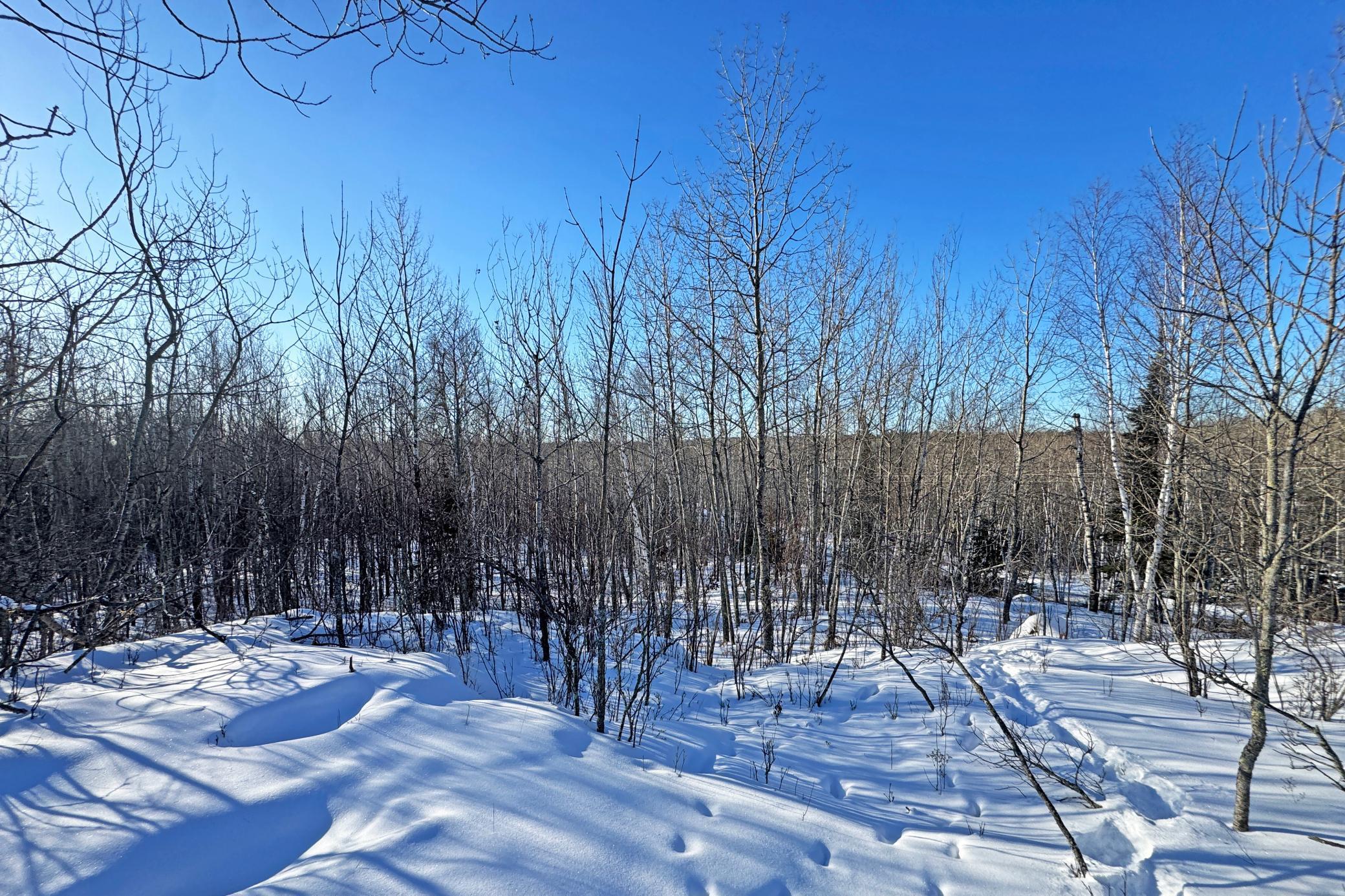 12 Fectos Road Tower, MN 55790 - Photo 28 of 46