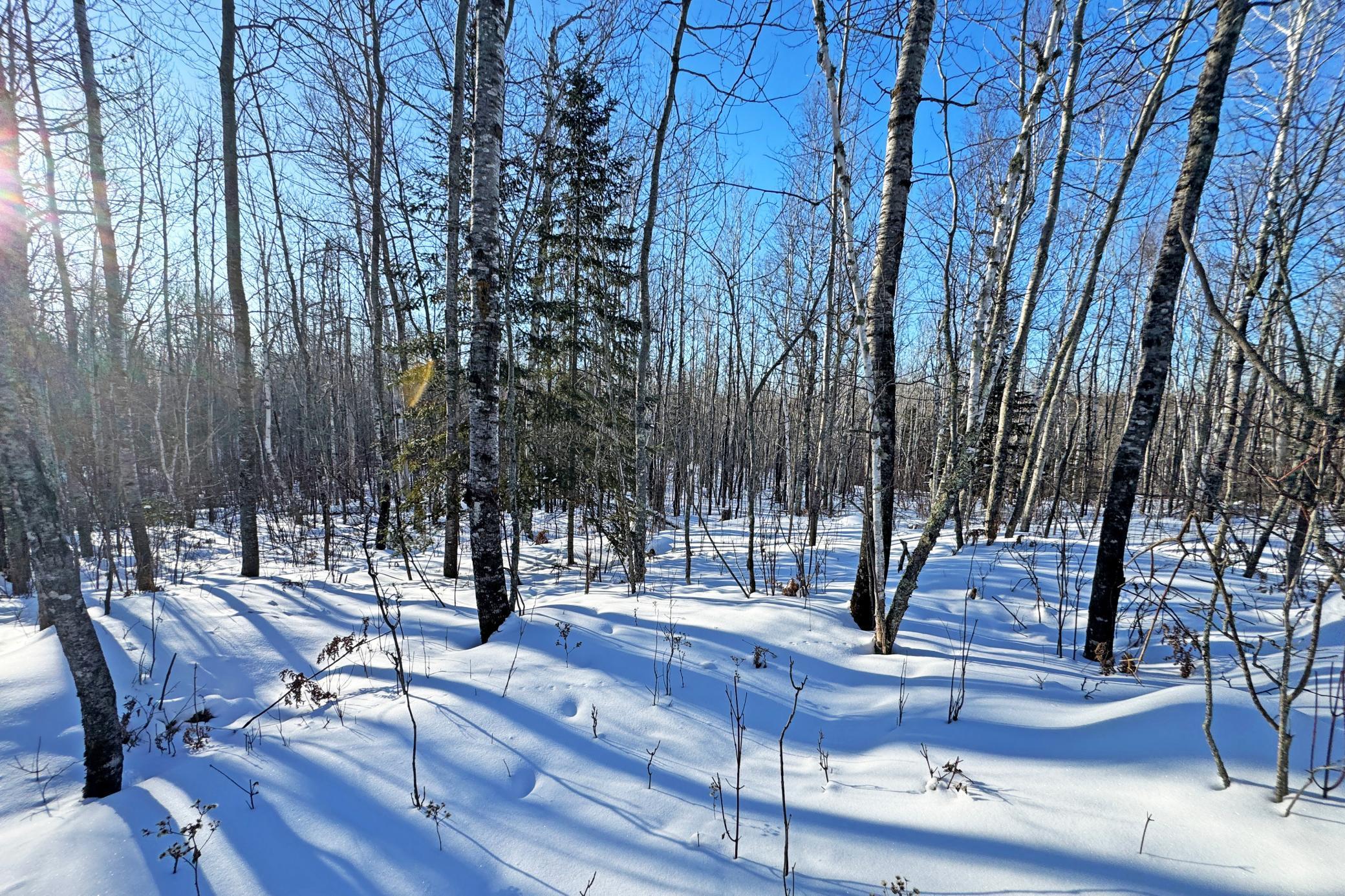 12 Fectos Road Tower, MN 55790 - Photo 29 of 46