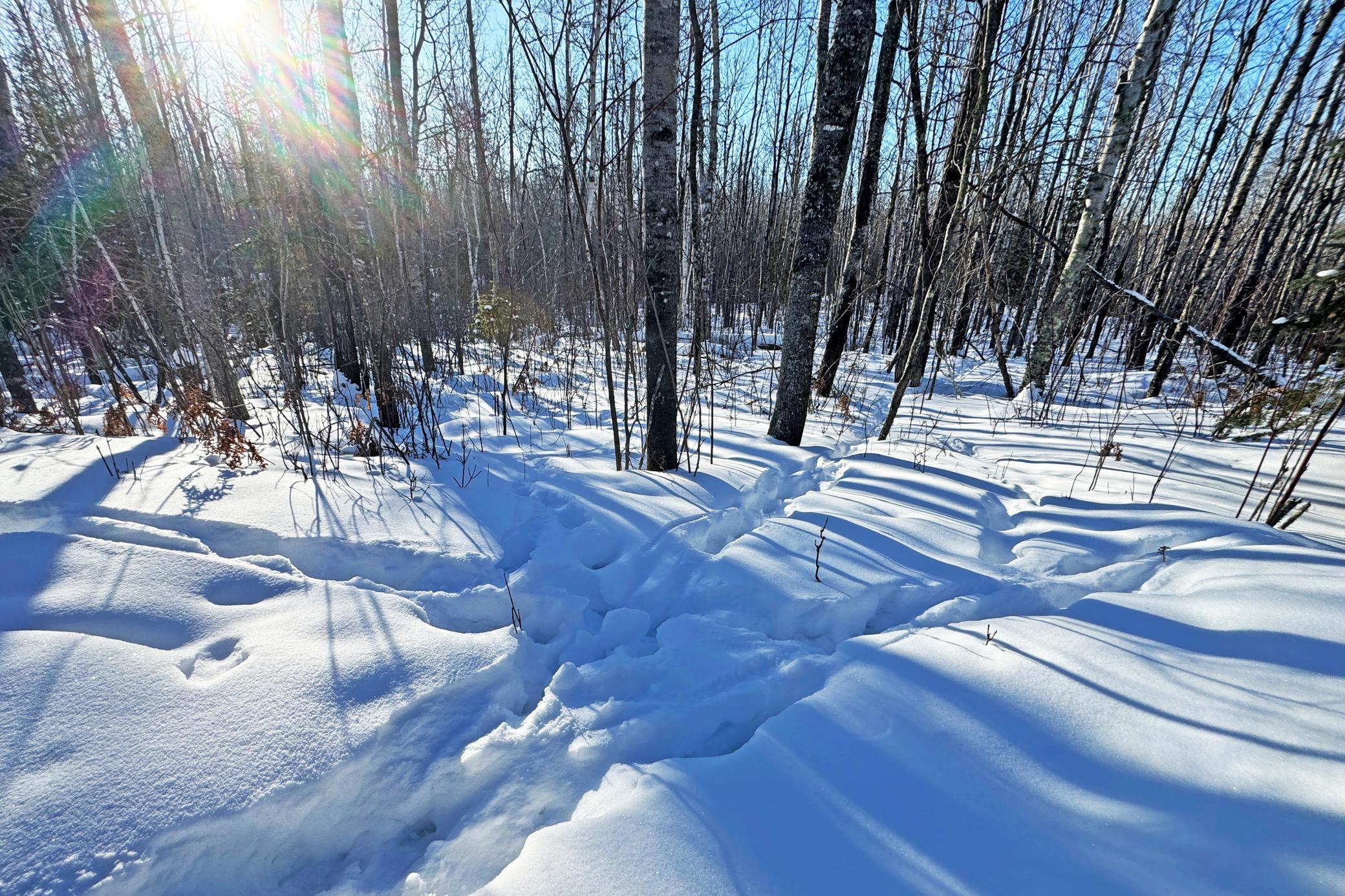 12 Fectos Road Tower, MN 55790 - Photo 30 of 46