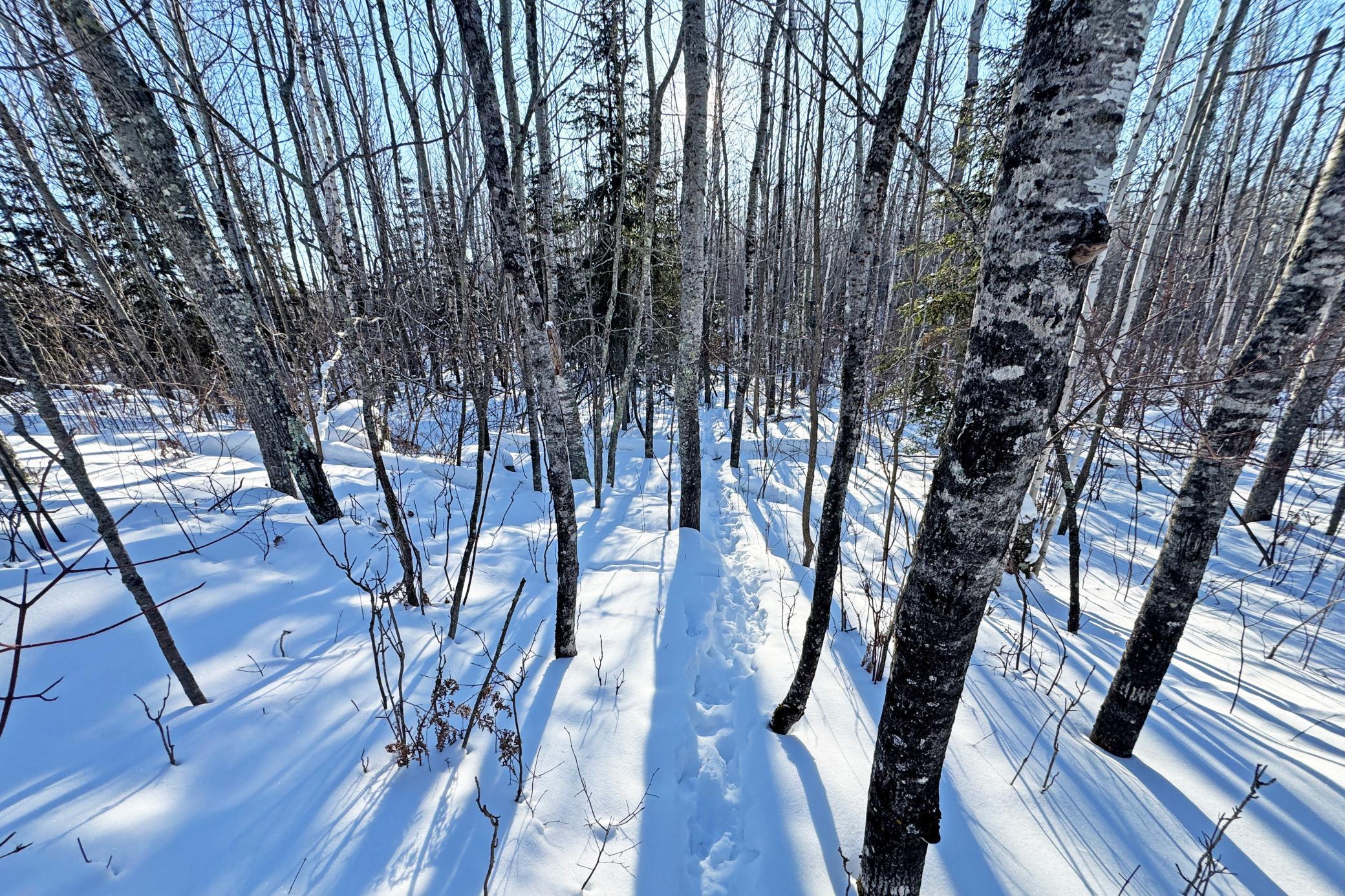 12 Fectos Road Tower, MN 55790 - Photo 31 of 46