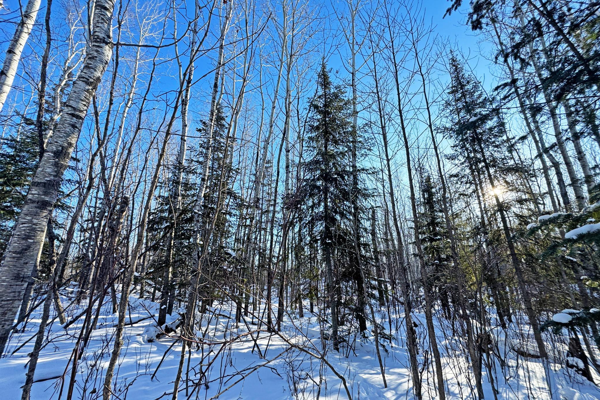 12 Fectos Road Tower, MN 55790 - Photo 32 of 46