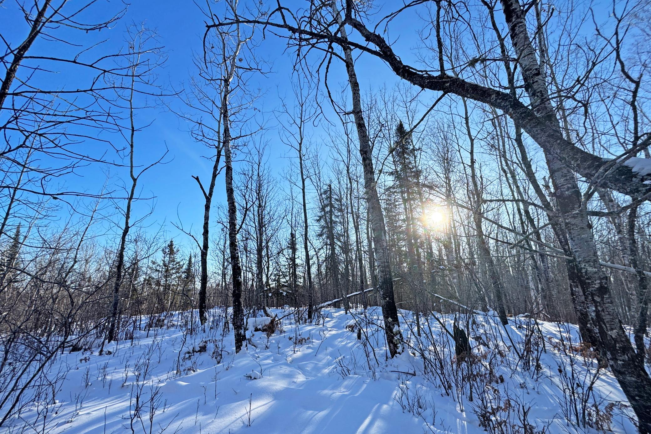 12 Fectos Road Tower, MN 55790 - Photo 34 of 46