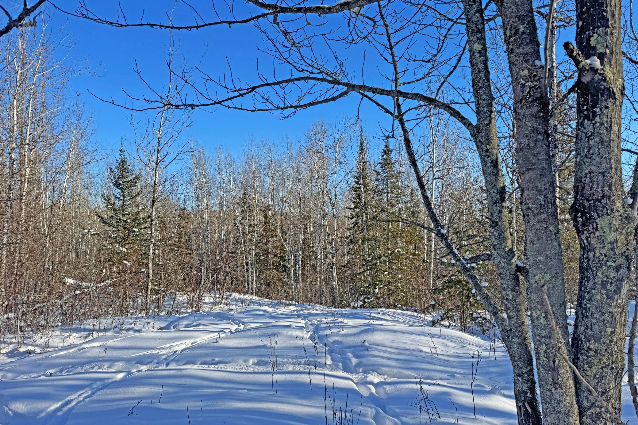 12 Fectos Road Tower, MN 55790 - Photo 35 of 46