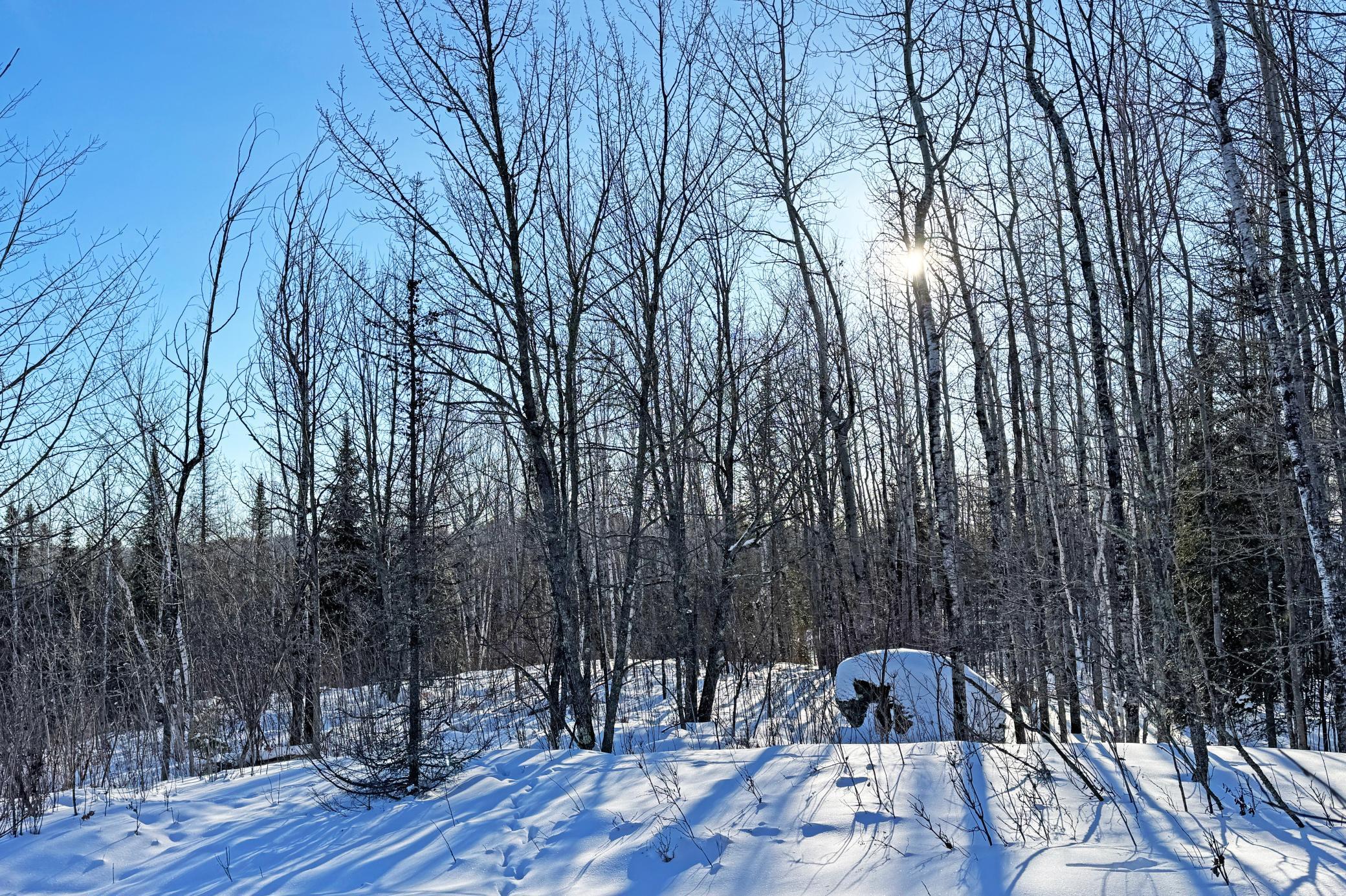 12 Fectos Road Tower, MN 55790 - Photo 36 of 46