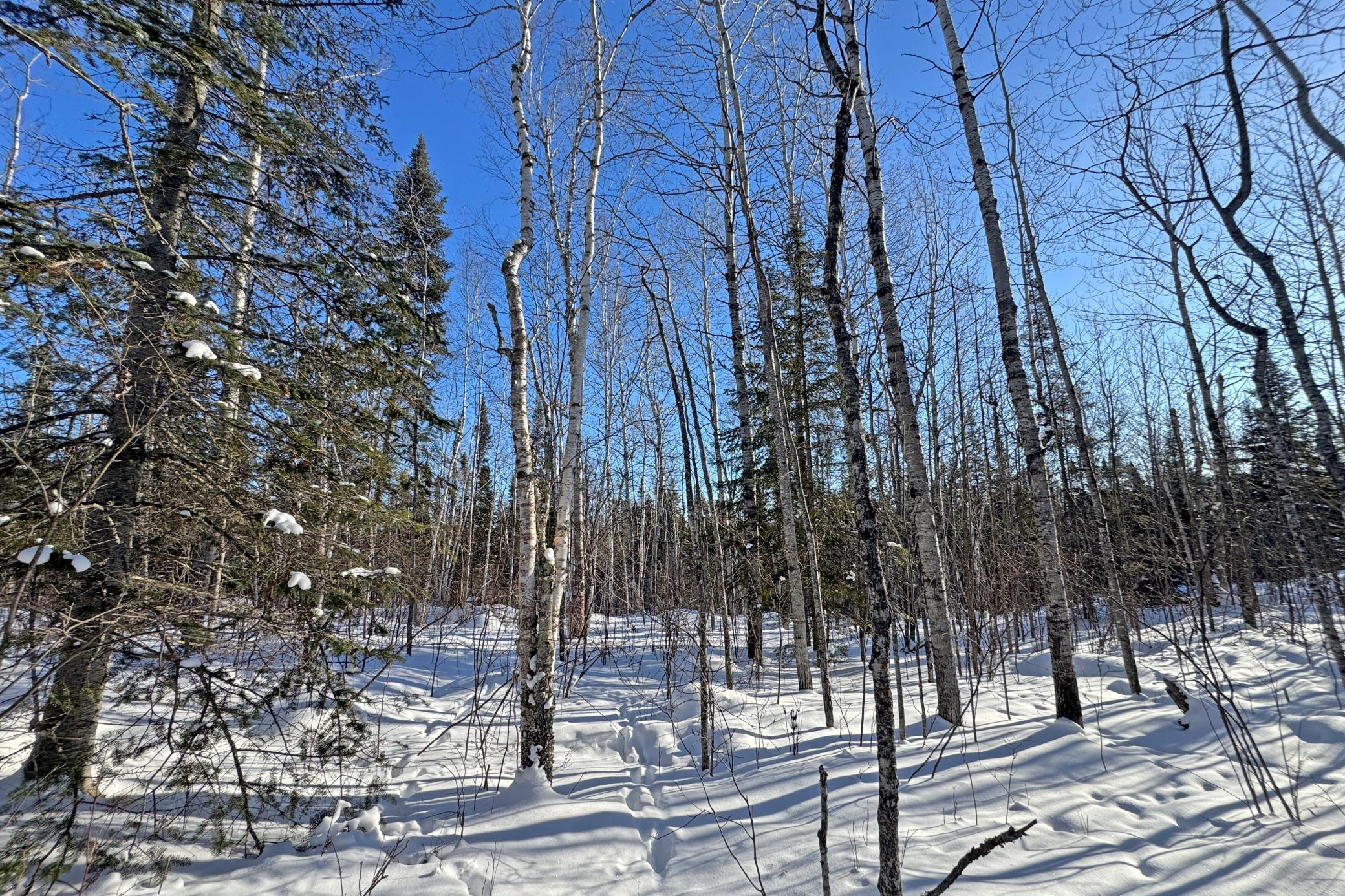 12 Fectos Road Tower, MN 55790 - Photo 41 of 46