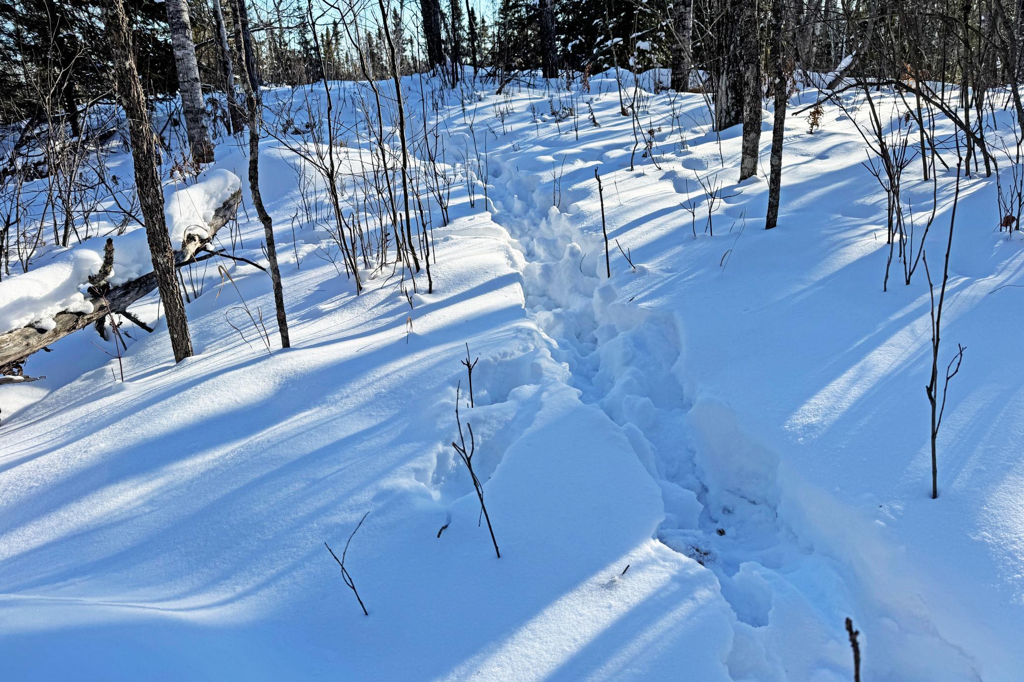 12 Fectos Road Tower, MN 55790 - Photo 42 of 46