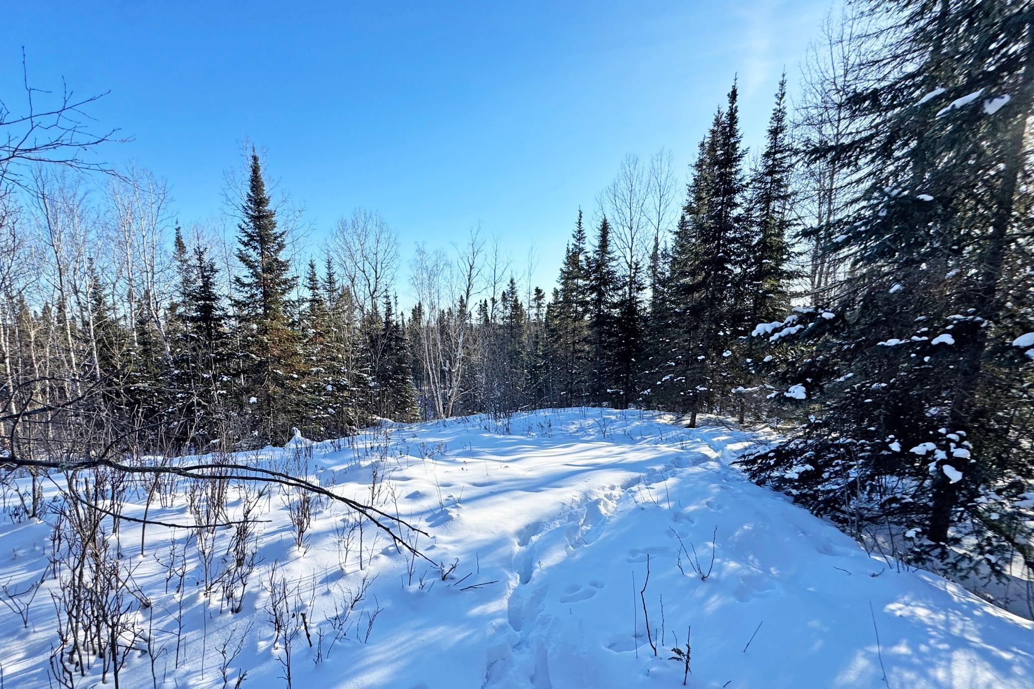 12 Fectos Road Tower, MN 55790 - Photo 43 of 46