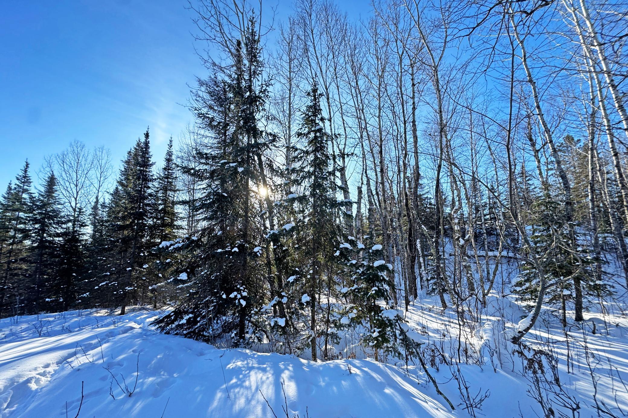 12 Fectos Road Tower, MN 55790 - Photo 44 of 46