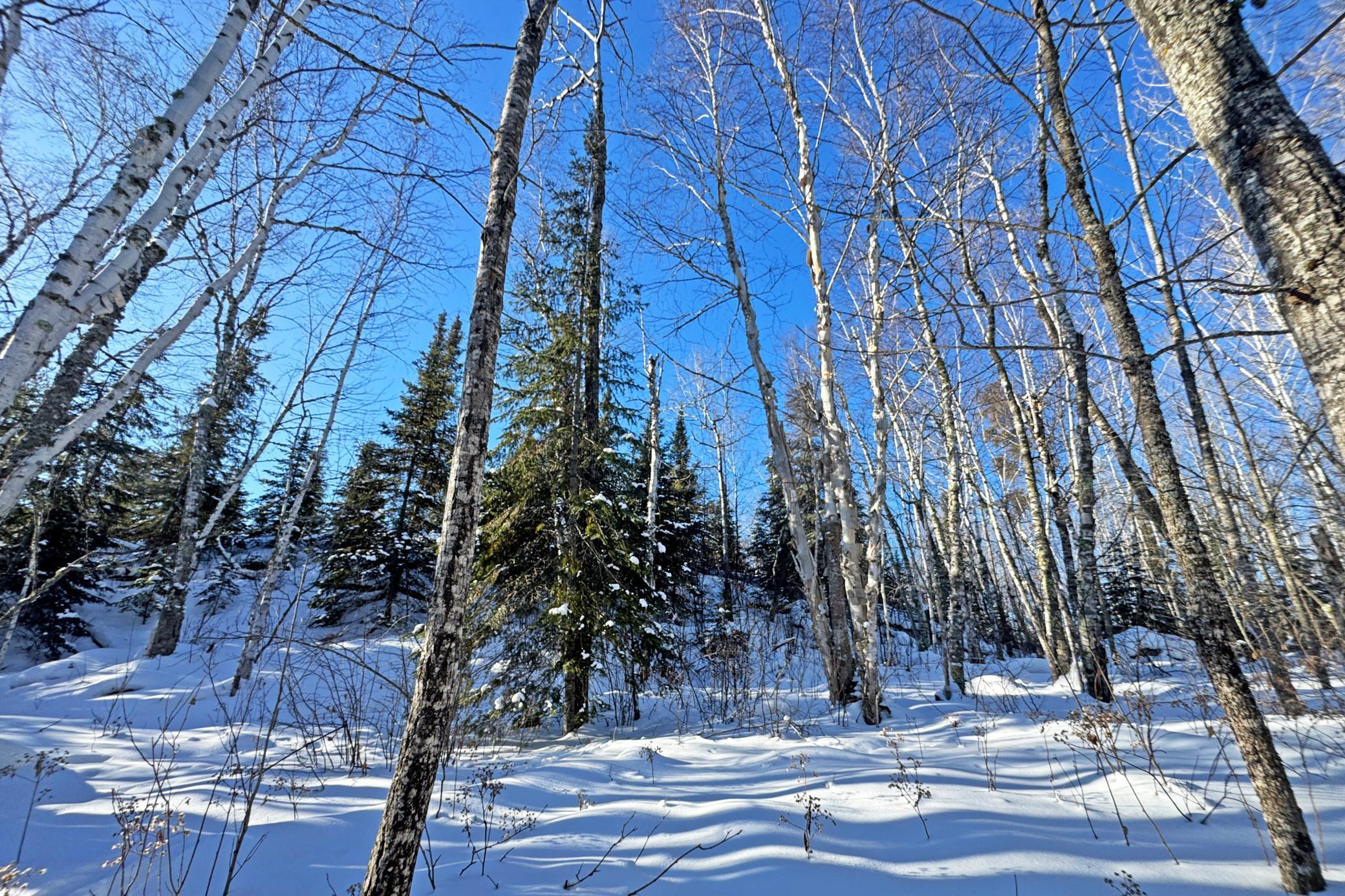 12 Fectos Road Tower, MN 55790 - Photo 46 of 46