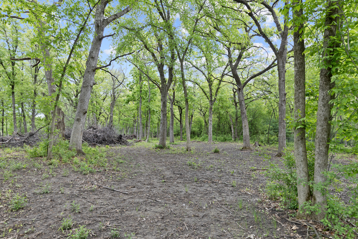4604 Sunnyside Road Woodstock, IL 60098 - Photo 37 of 37 a view of a forest with trees in the background