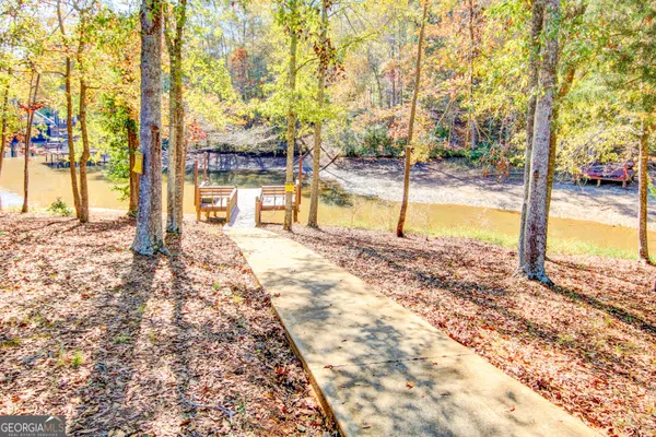 a view of tall trees with a yard