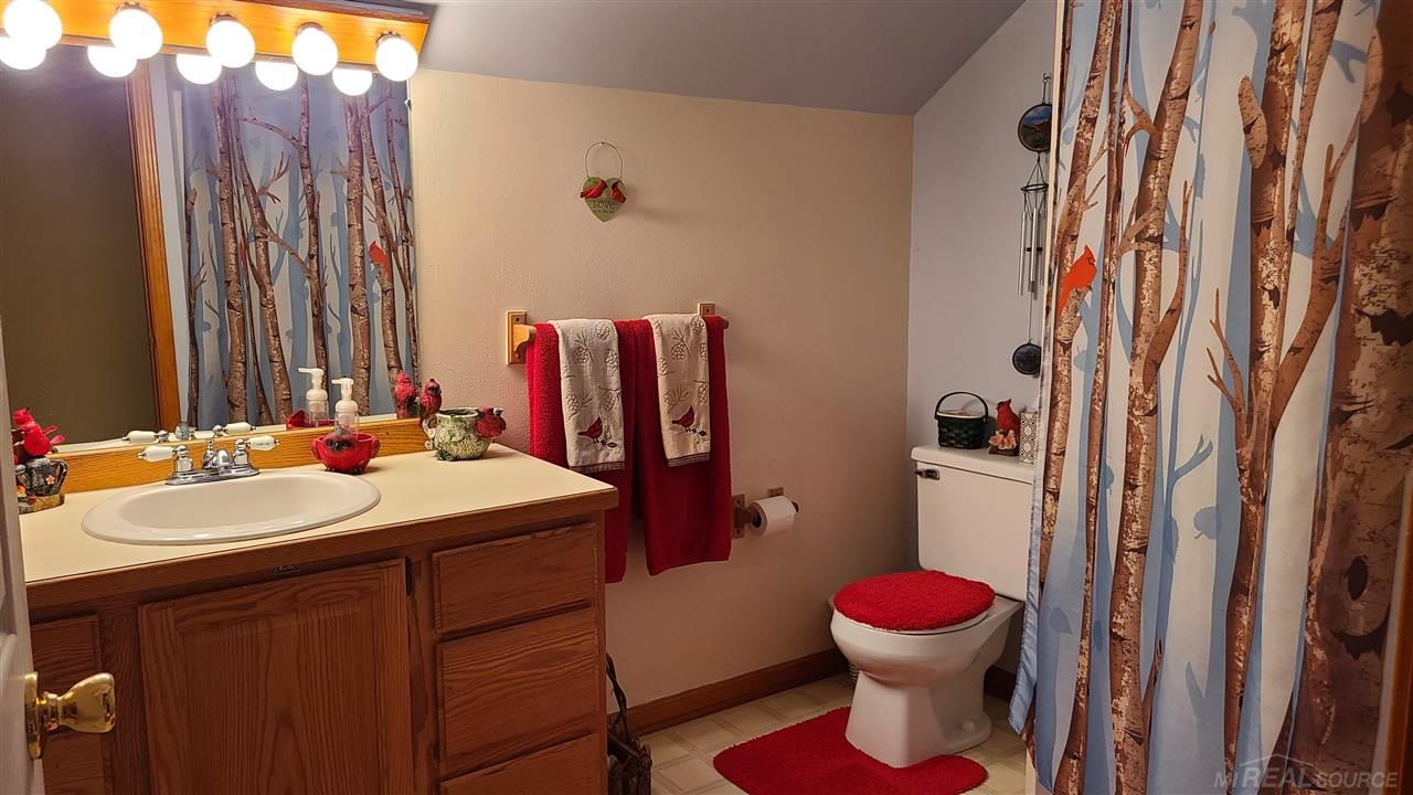 7834 Wildcat Road Croswell, MI 48422 - Photo 27 of 44 50051304-26.JPG