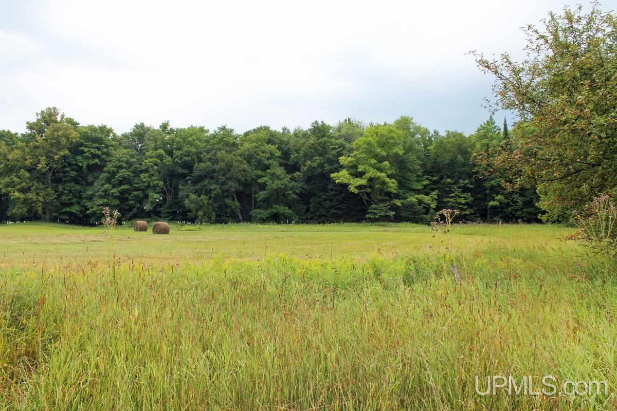 N2506 East T Road Trenary, MI 49891 - Photo 8 of 29 Gallery Image 8