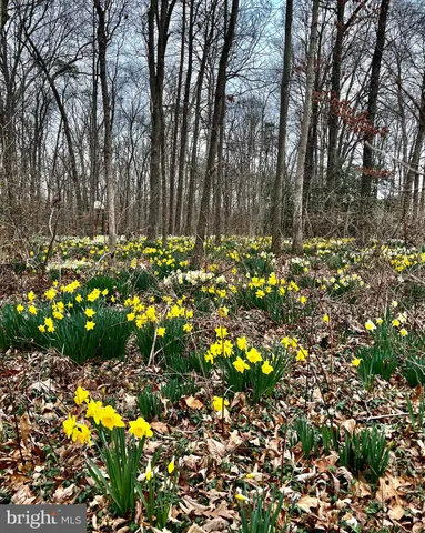 $919,000 | 13170 Autumn Hill Lane, Herndon, VA 20171