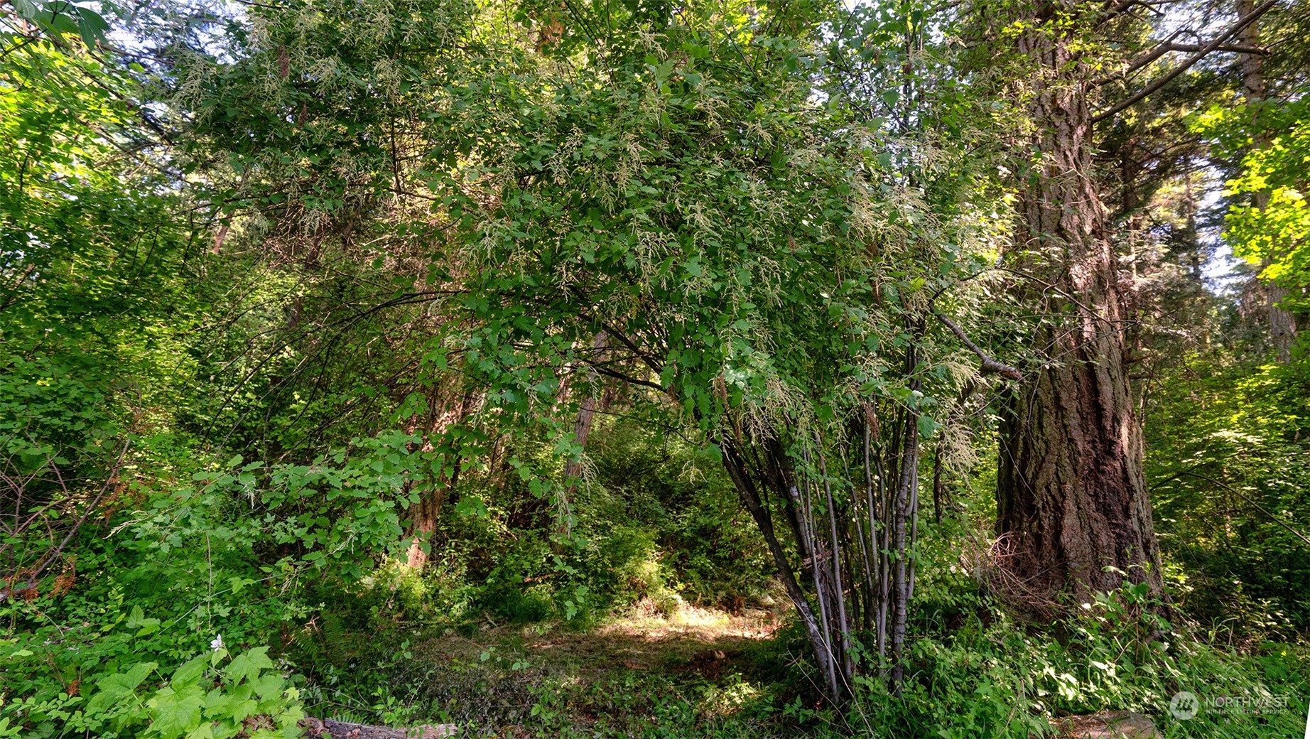 3626 Mud Bay Road Lopez Island, WA 98261 - Photo 11 of 19 Gallery Image 11