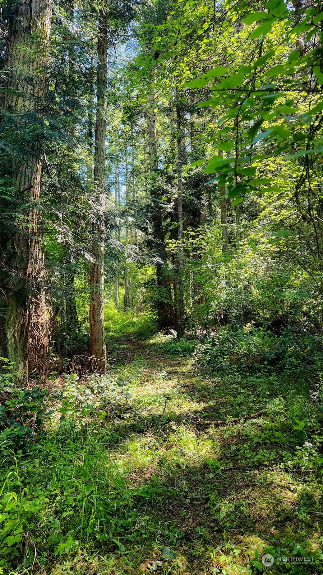 3626 Mud Bay Road Lopez Island, WA 98261 - Photo 14 of 19 Gallery Image 14