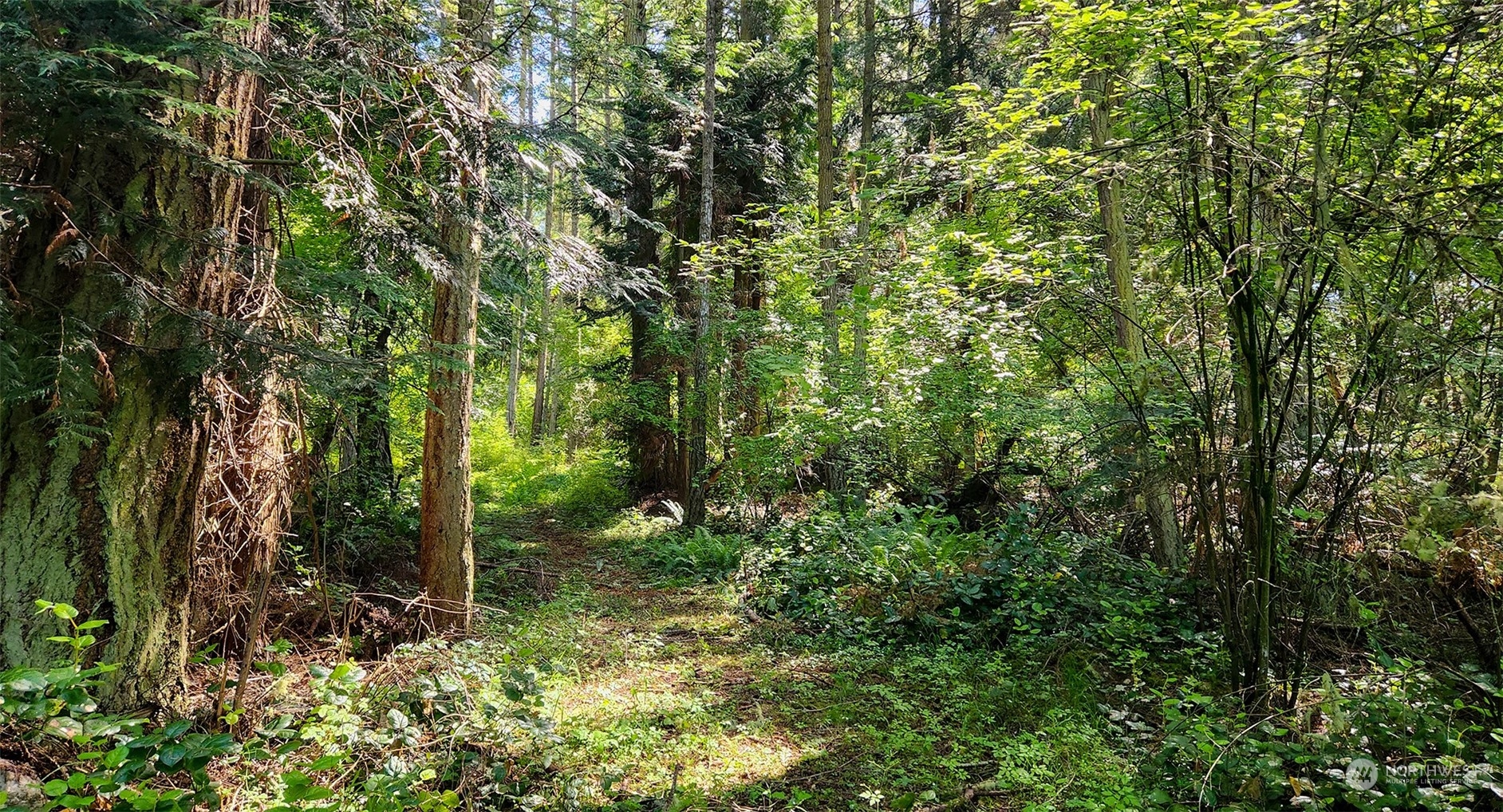 3626 Mud Bay Road Lopez Island, WA 98261 - Photo 16 of 19 Gallery Image 16
