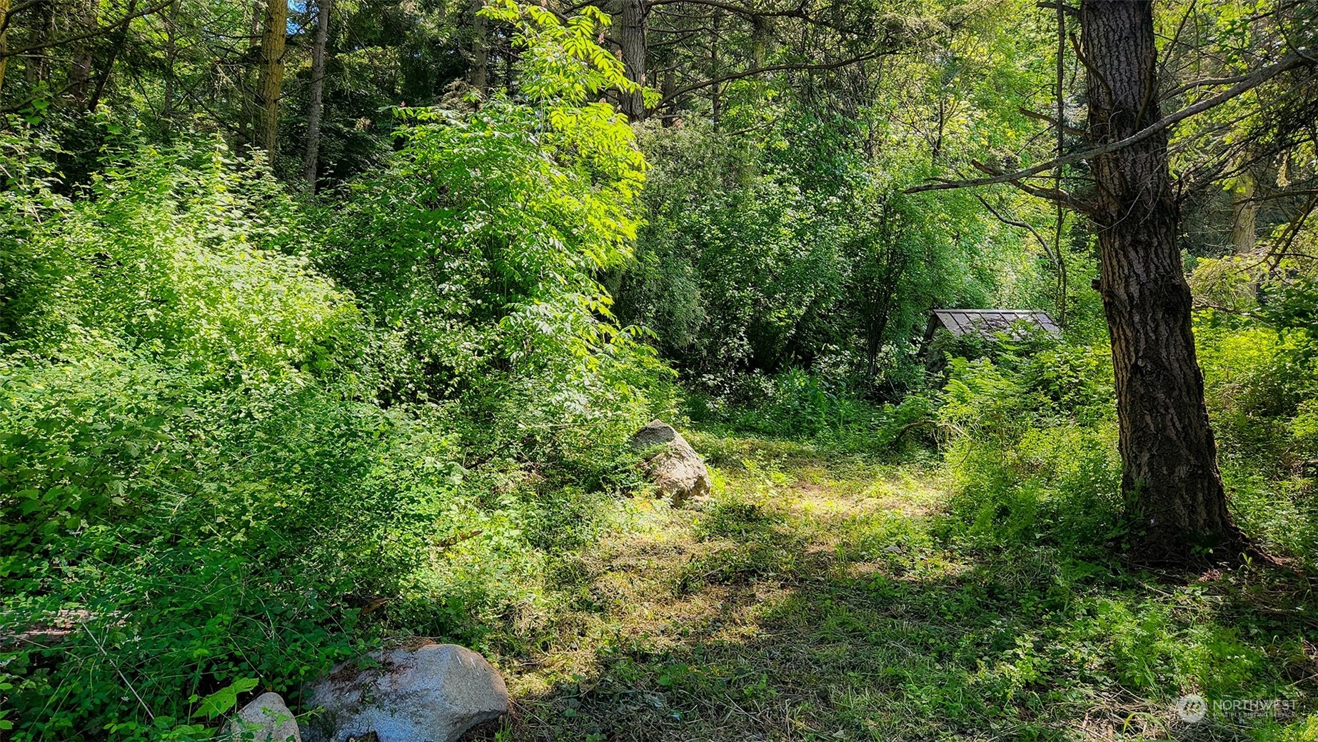 3626 Mud Bay Road Lopez Island, WA 98261 - Photo 2 of 19 Gallery Image 2