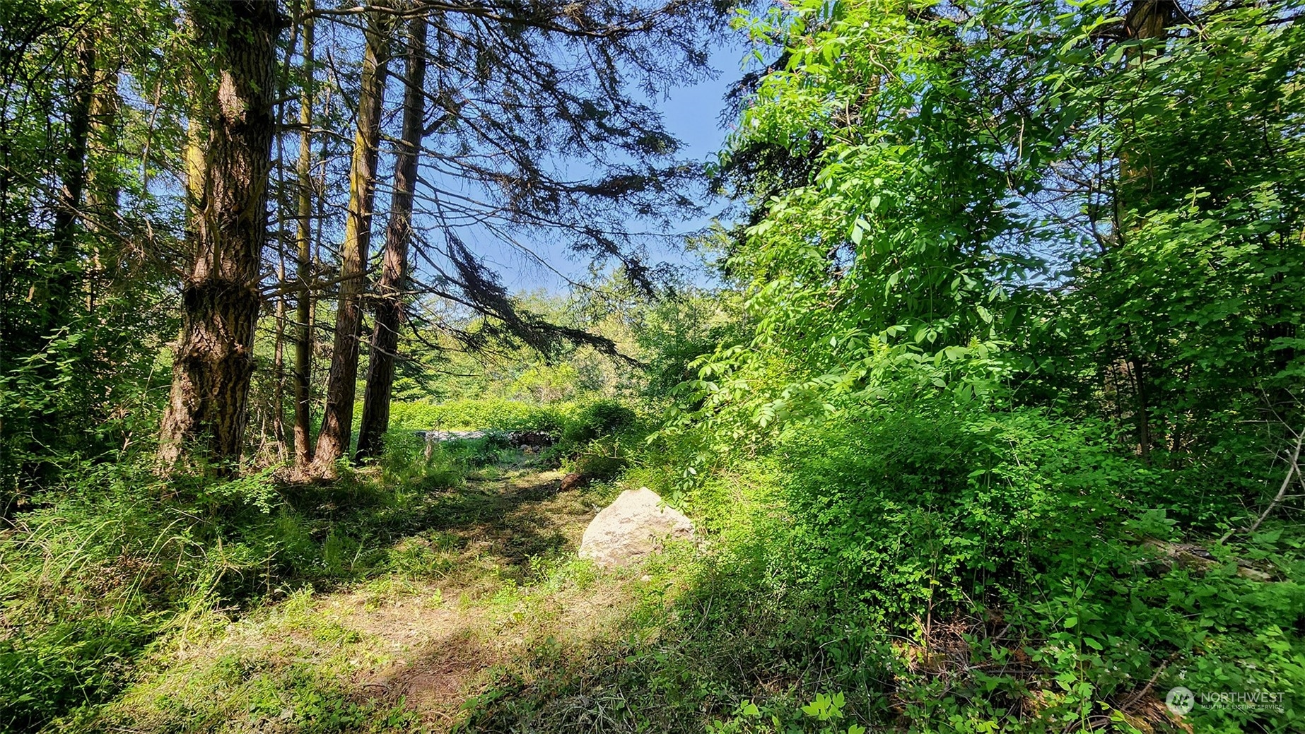 3626 Mud Bay Road Lopez Island, WA 98261 - Photo 3 of 19 Gallery Image 3