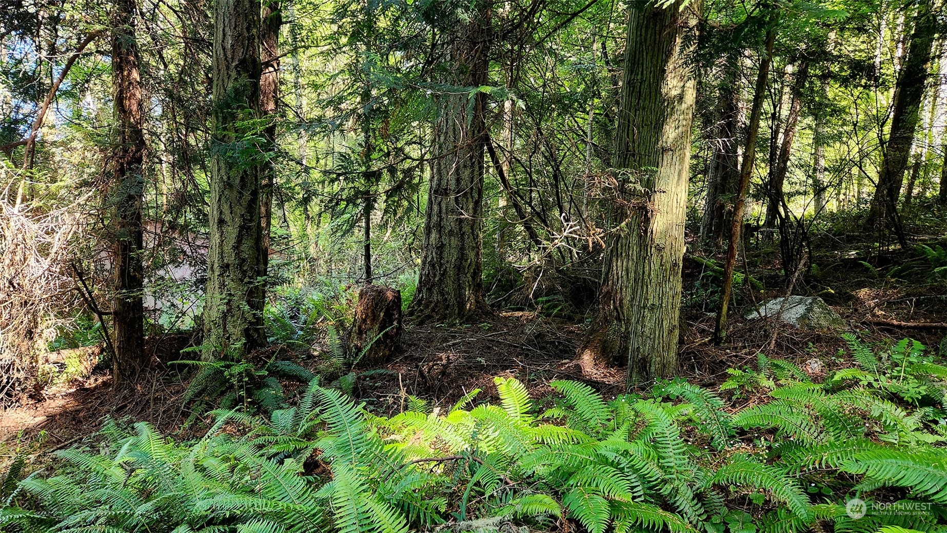 3626 Mud Bay Road Lopez Island, WA 98261 - Photo 4 of 19 Gallery Image 4