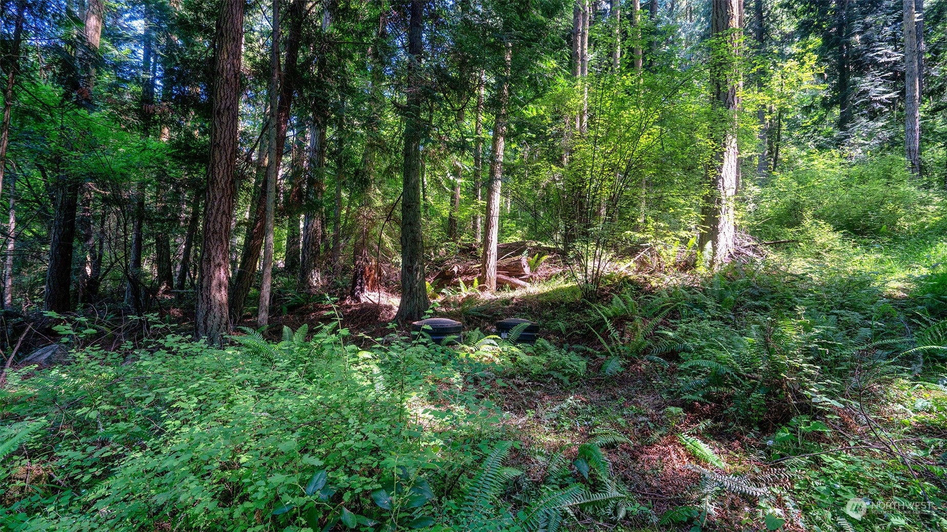 3626 Mud Bay Road Lopez Island, WA 98261 - Photo 9 of 19 Gallery Image 9