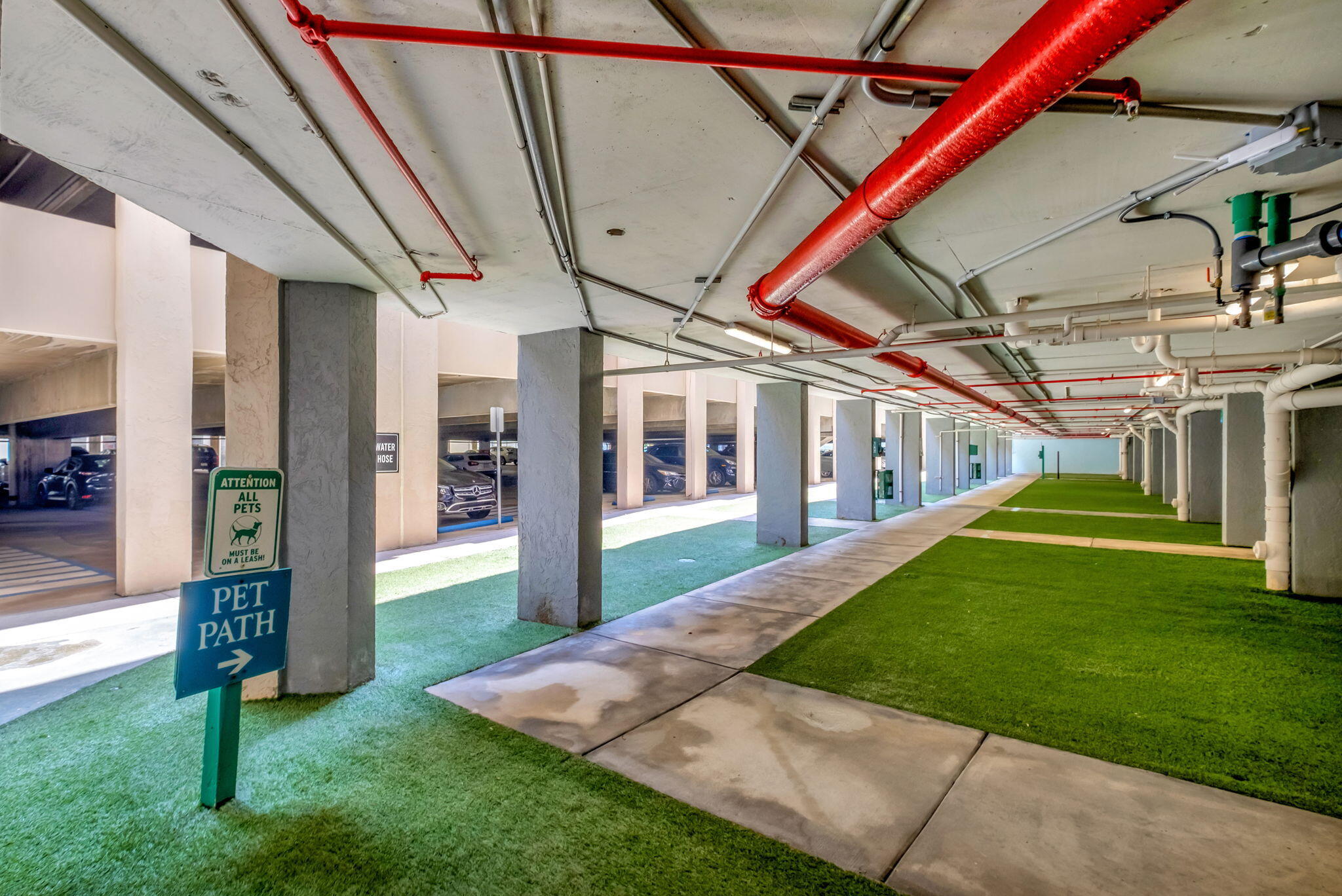 540 Brickell Key Drive, Unit 919 Miami, FL 33131 - Photo 36 of 42 Ammenity - Dog Walk