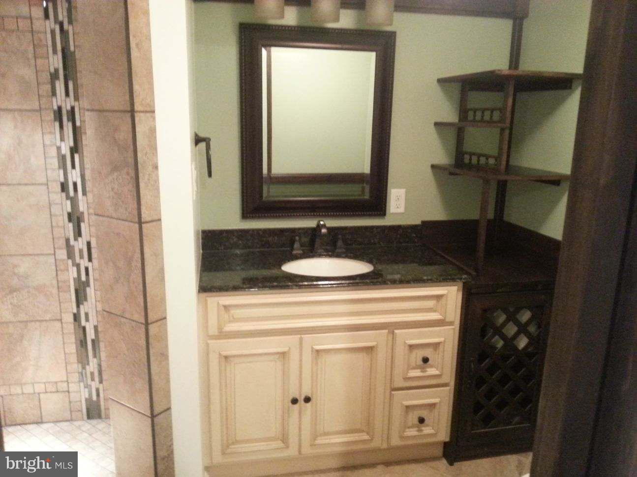 85 Chestnut Grove Road Shippensburg, PA 17257 - Photo 23 of 45 Primary bath