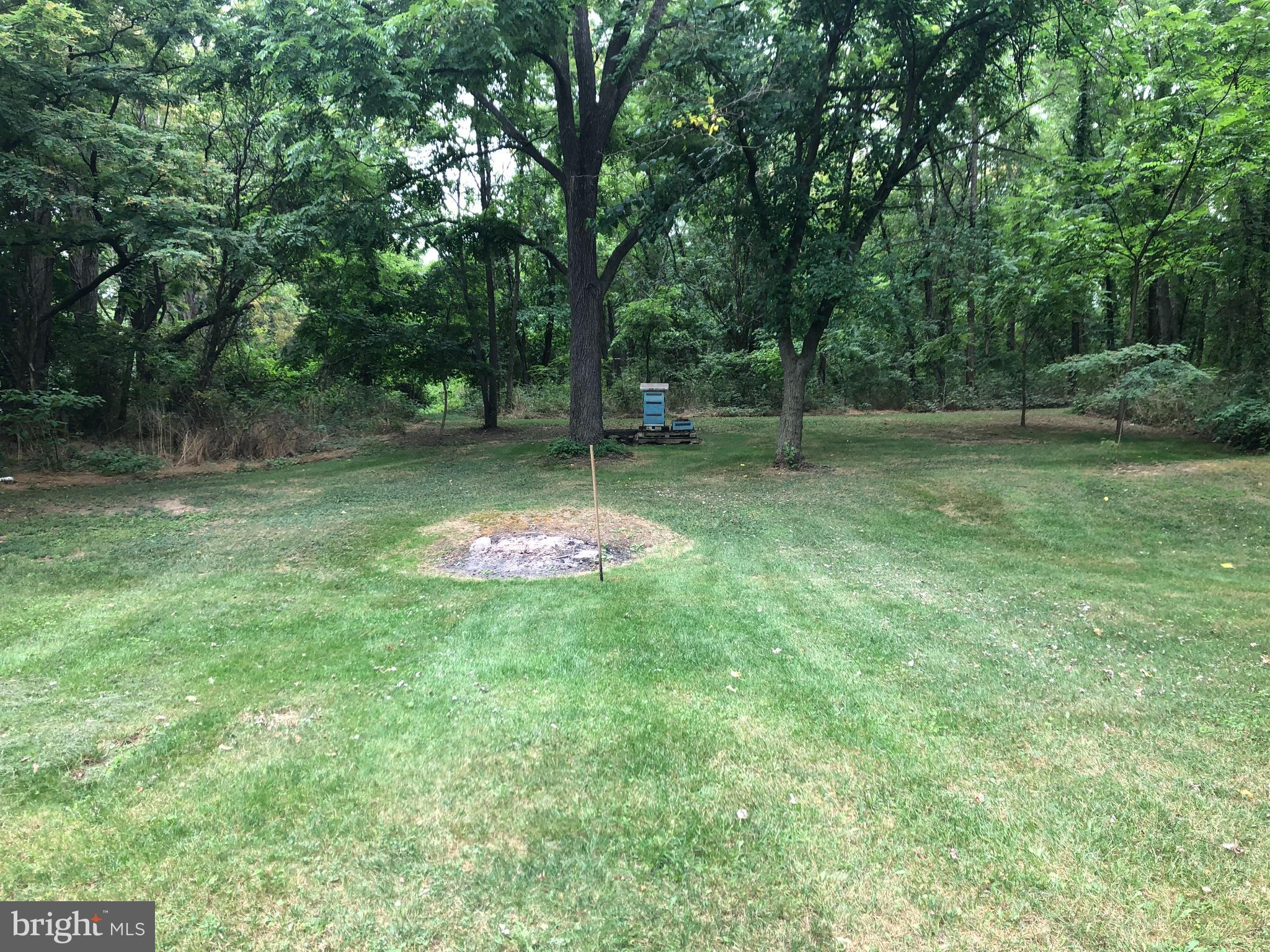 85 Chestnut Grove Road Shippensburg, PA 17257 - Photo 36 of 45 Back yard
