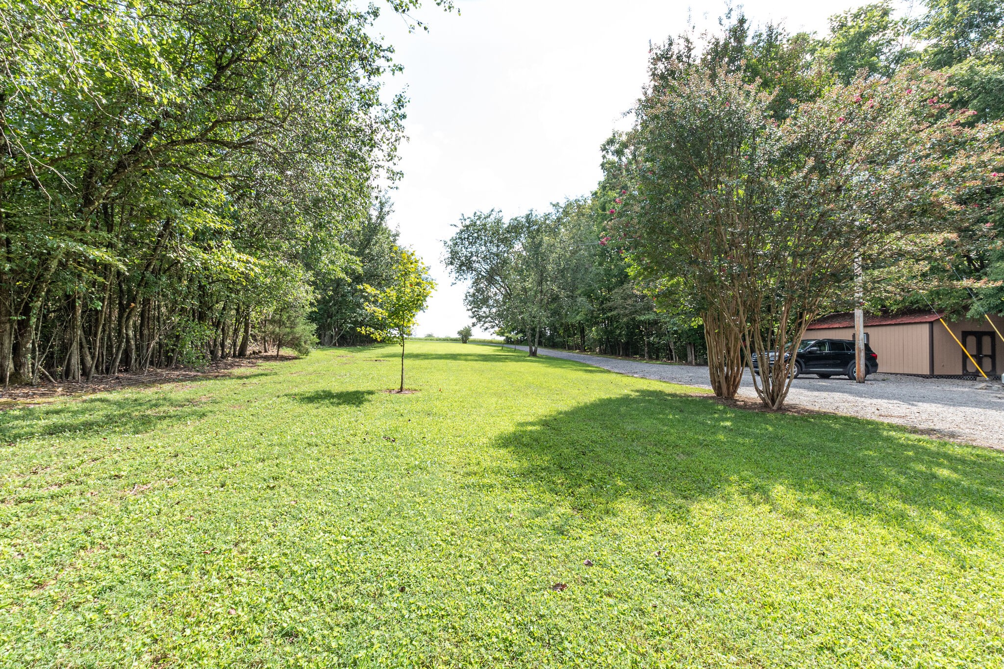 1315 Haley Road Smithville, TN 37166 - Photo 3 of 34 Gallery Image 3