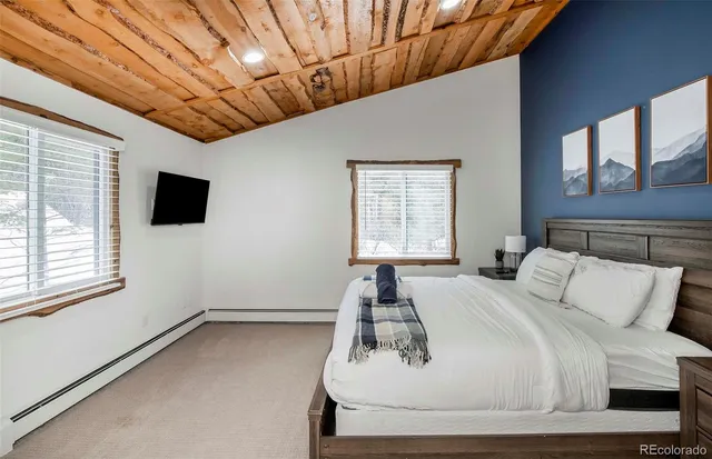 a bed room with a bed tv and a window