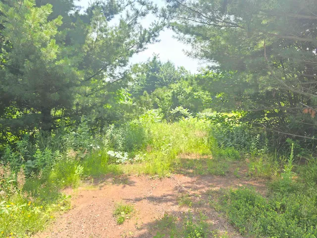 $120,000 | 35365 Old Orchard Lane, Bayfield, WI 54814