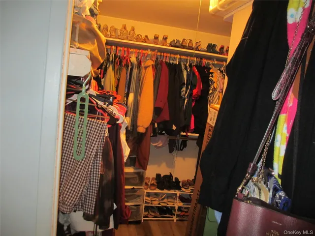 a view of walk in closet with clothes and shoes
