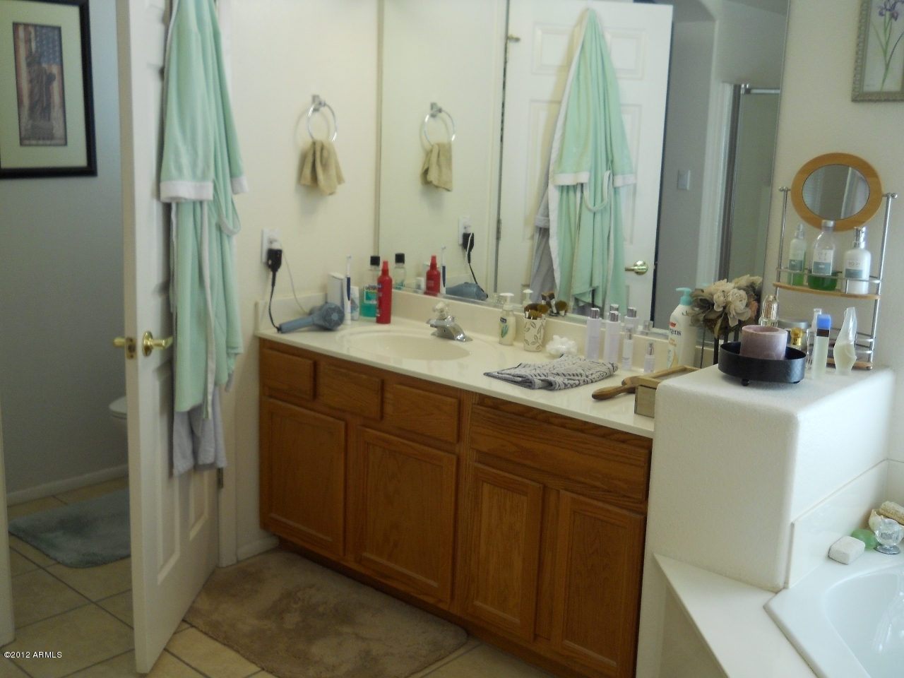 257 East Nunneley Road Gilbert, AZ 85296 - Photo 11 of 47 Master Bath